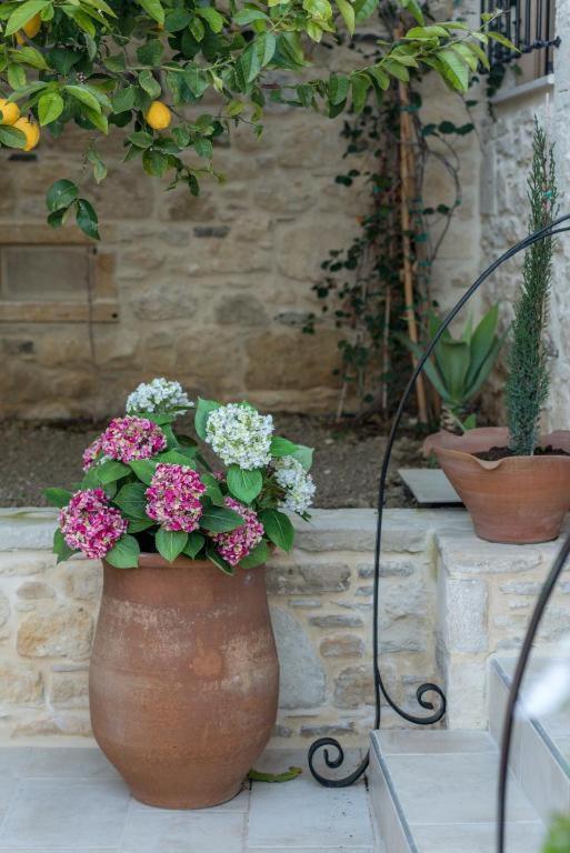 Cretan Rhapsody - Rustick Villa In Siva Sívas Exterior photo